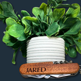 Load image into Gallery viewer, A leafy plant in a textured gray planter contrasts against a dark background. In front sits The Ultimate Gift for Him: Versatile 8-Function Pocket Tool with customizable engraving, displaying Jared. Its wooden handle complements metallic parts, like a corkscrew, in this elegant ensemble.